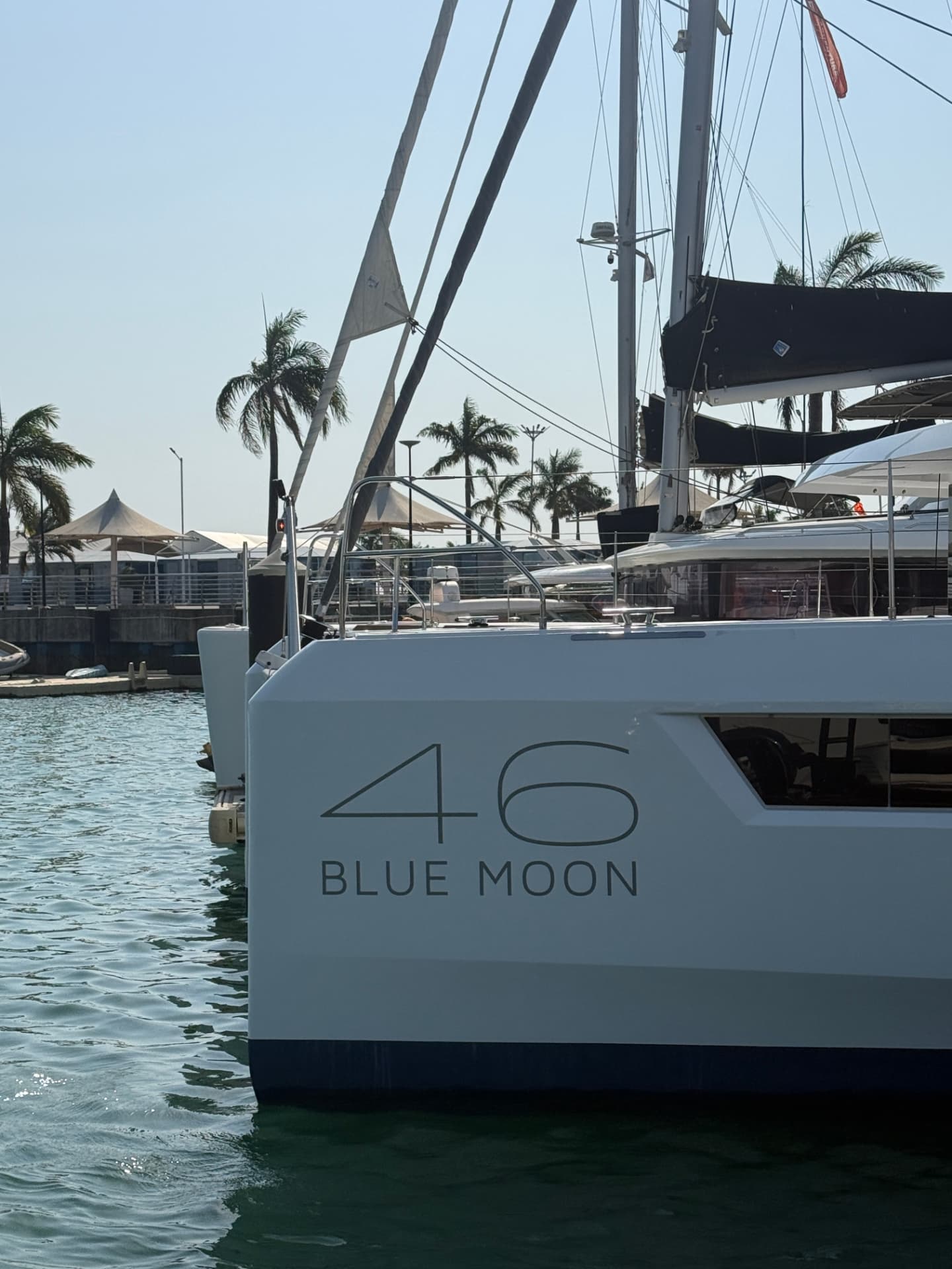 Bluemoon gallery